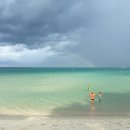 매남농장 | 코사무이