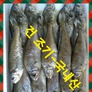 금양횟집 이미지
