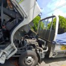 대한부란자 이미지