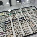 1001안경콘택트(신대방역점) 네이버블로그