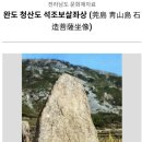 완도 청산도 석조보살좌상 이미지