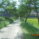 지리산구룡관광호텔 이미지