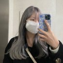 살롱드비율 이미지