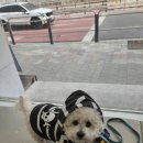 보타닉동물병원 이미지