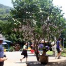 폭포약수 이미지