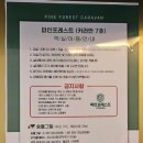 청사포 펜션 | [충남 태안] 백합펜션 카라반 / 완전 만족해서 재방문한 후기