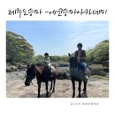 에코승마아카데미 | 제주도 승마체험 에코승마아카데미 체험비용,코스안내