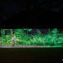 종촌동공영주차장앞 | 경주 대릉원 몽화 미디어아트 기간 공영주차장 정보 경주혼자여행 후기