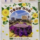 서구청 옥상생태공원 | 대구 서구청 5층 옥상생태공원 가을국화전시회 행사 일정 정리