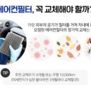 애니카랜드 서구점 이미지