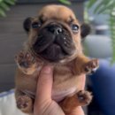 다인정보고 이미지