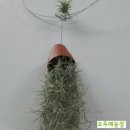 주왕산휴식소 이미지