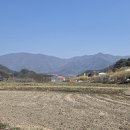 두꺼비농장 이미지