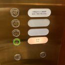 디럭스 | 베네치안 마카오 로얄 디럭스 스위트 후기/수영장/한식당