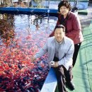 물고기마을 이미지