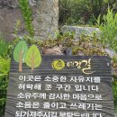 경기둘레길 여주35코스 Daum카페