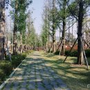 철쭉공원 화장실(지하) 이미지