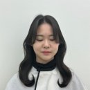 이비스헤어미니
