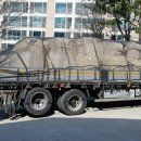 성실화물 이미지