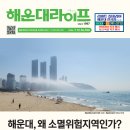 ＜598호 2024년 7월 12일 발행＞ 해운대구, 왜 소멸위기위험지역인가? 이미지