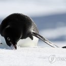 마르네 이미지
