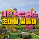 동명초교 | 대전 대청호 장미 축제 전시회 후기 | 입장료 무료 5월 꽃구경