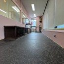 댕댕이의 하루 이미지