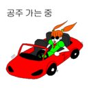 시크릿쥬쥬&또봇 네이버블로그