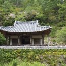 나리철물 | 190901_경북 안동 만휴정과 은행나무 출사