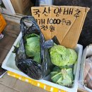 수양베트남야채