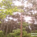 오소리약수터 이미지