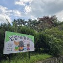 숲속애견샵 이미지