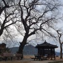 덕천1리 이미지