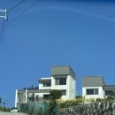 오얏리스테이 이미지