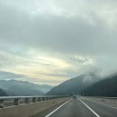 동해애견센터 이미지