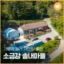 소금강솔내마을 이미지