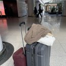한나약국 | 인천에서 모스크바까지 터키항공 이용후기 (이스탄불 경유, 공항 pcr 검사)
