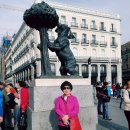 미술관 솔 이미지