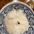 연안식당 이미지