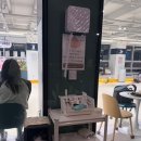 4 | [왈왈랜드] 부산 연제구 애견카페 방문 후기| 부산 애견카페 추천