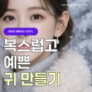 바바보청기 | 부산 귀필러 시술 부위가 다양하다는거 아시나요?