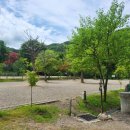 율곡캠핑장 이미지