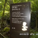 개인약수 이미지