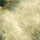 가나PC방 이미지