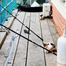 별다섯착한하우스 이미지