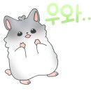 빅콩 이미지