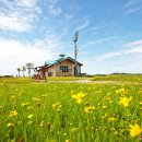 작은 동물원 이미지