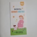 마산보건소 임산부 무료 산전검사/초기검사
