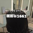 에비뉴1661