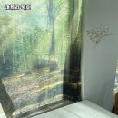 내게와 묵호 이미지